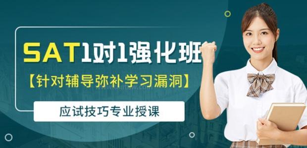 天津SAT1对1辅导